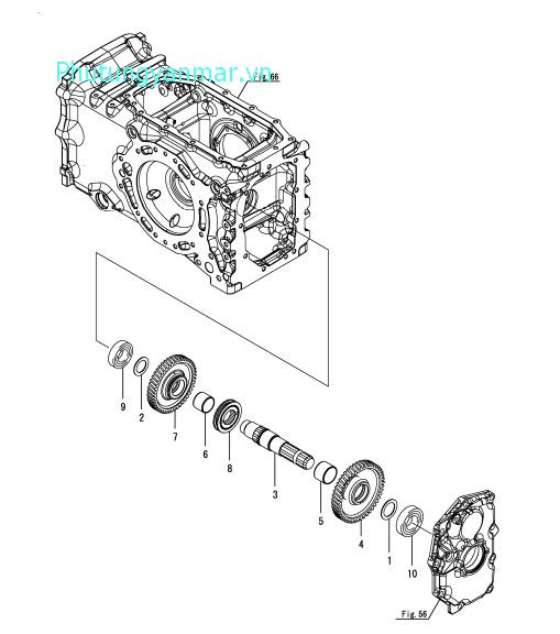 Trục PTO